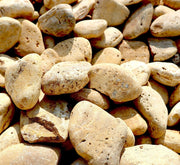 Yellow Forest River Stone "Natural Garden Material" - Greensouq -