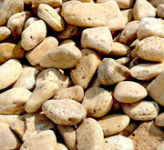 Yellow Forest River Stone "Natural Garden Material" - Greensouq -
