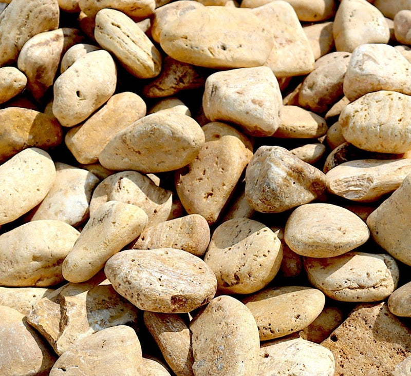 Yellow Forest River Stone "Natural Garden Material" - Greensouq -
