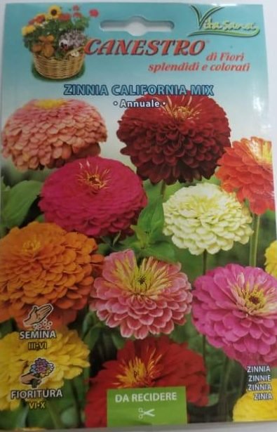 Zinnia California Mix Seeds by CANESTRO - Greensouq -