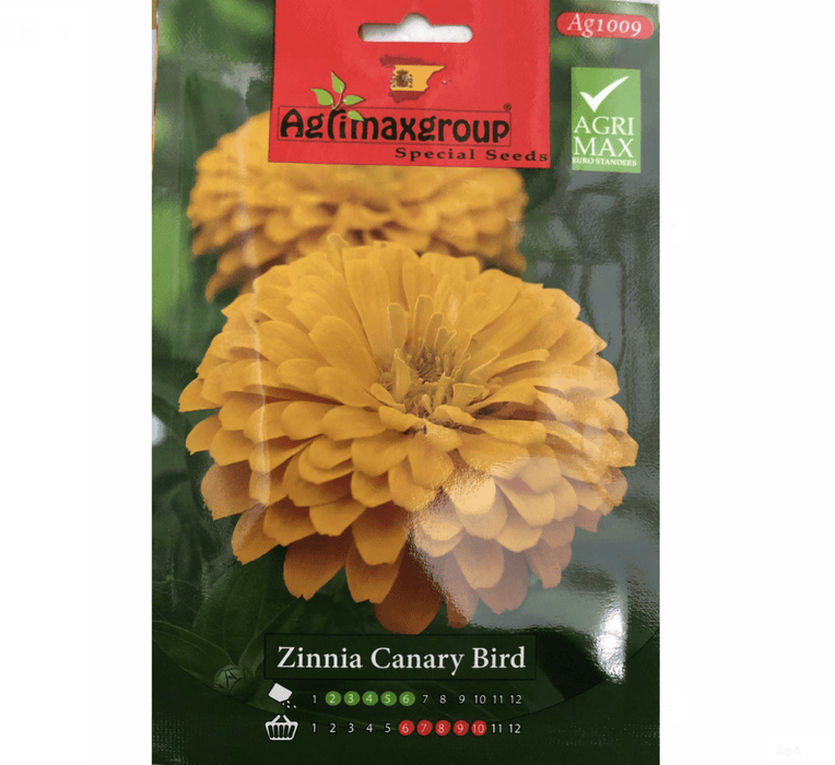 Zinnia Canary Bird Flower Seeds by Agrimax Spain - Greensouq -