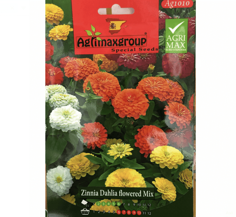 Zinnia Dahlia Mix Flower Seeds by Agrimax Spain - Greensouq -