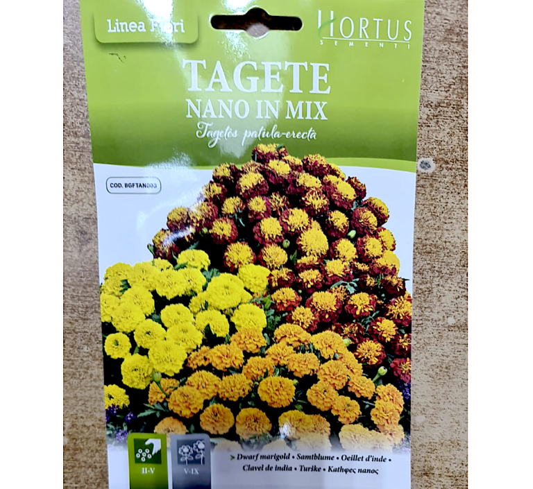 Dwarf Marigold Flower Seeds Tagete Nano In Mix By Hortus Buy Online