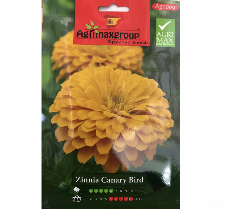 Zinnia Canary Bird Flower Seeds By Agrimax Spain Buy Online In Uae