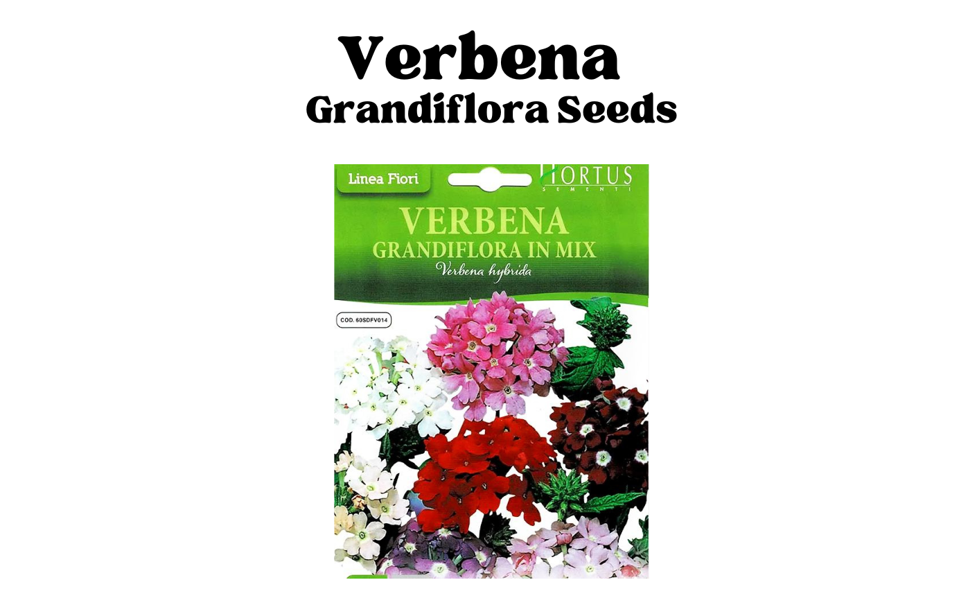 Seeds Buy Online In UAE Green Souq UAE