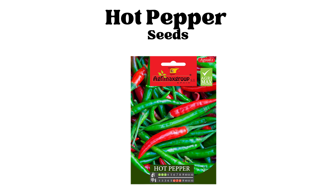 Seeds Buy Online In UAE Green Souq UAE