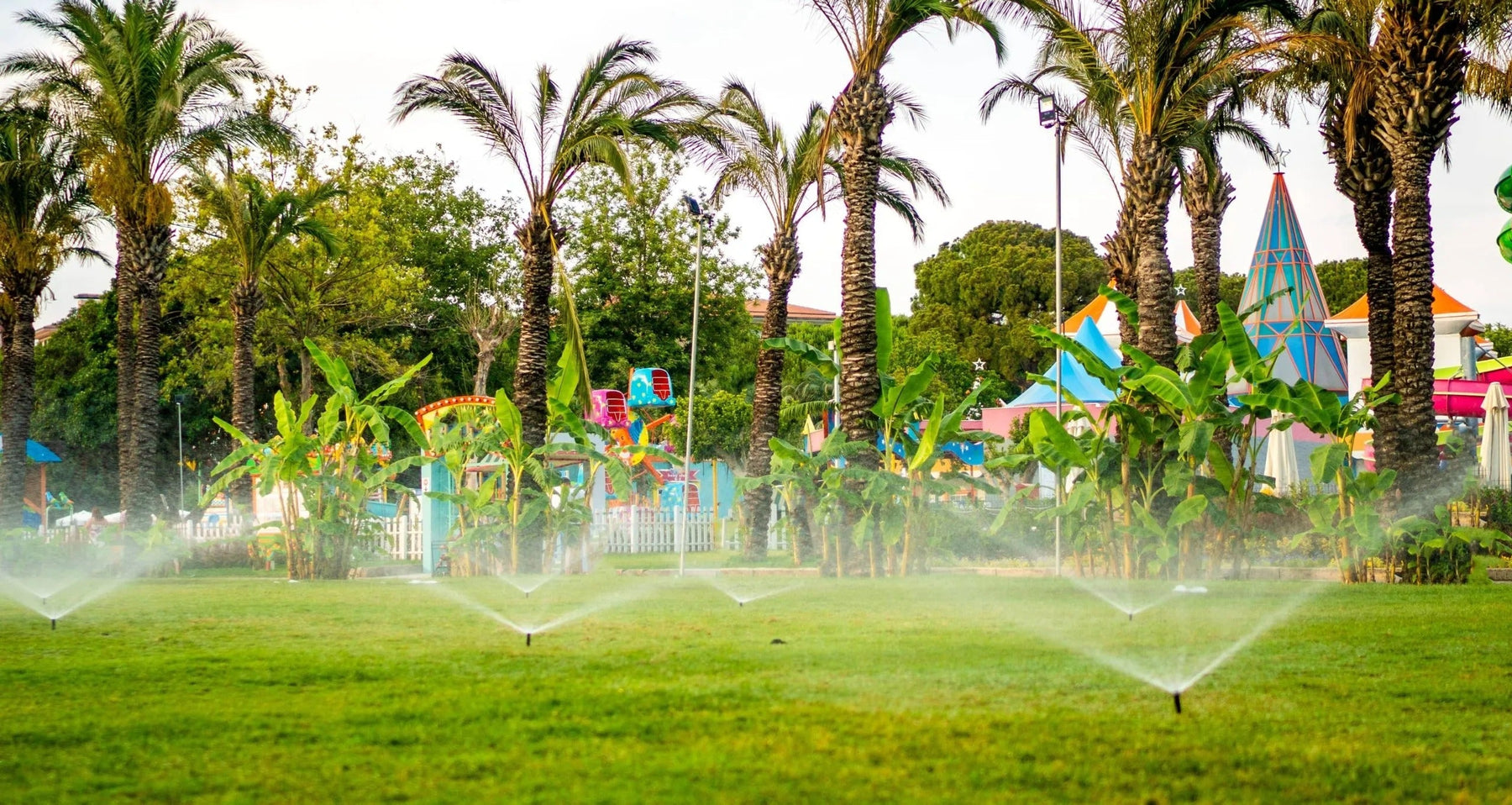Automated Irrigation Systems: Effortless Watering in Dubai - Greensouq