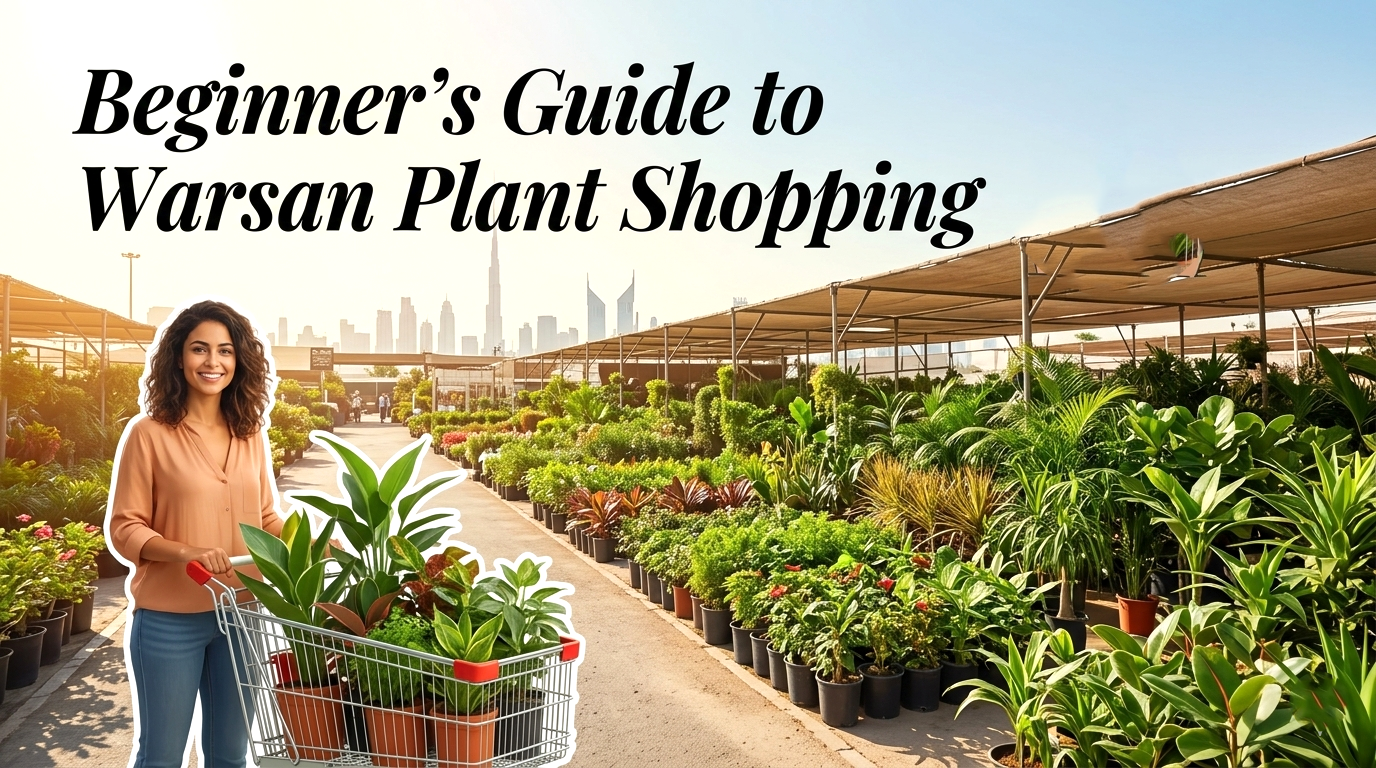 Hidden Gems in Warsan Nurseries Dubai - Greensouq
