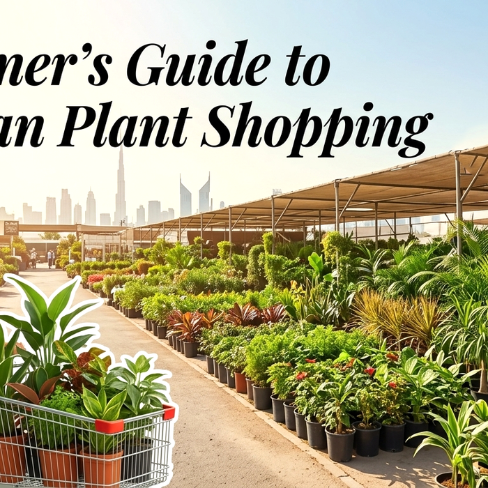 Hidden Gems in Warsan Nurseries Dubai - Greensouq