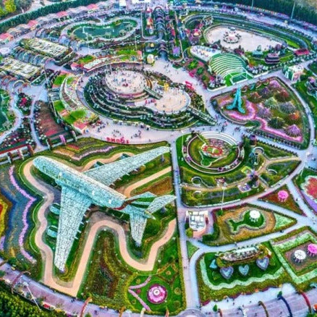 Plants Garden in Dubai: A Guide to Gardening in Dubai Desert Oasis
