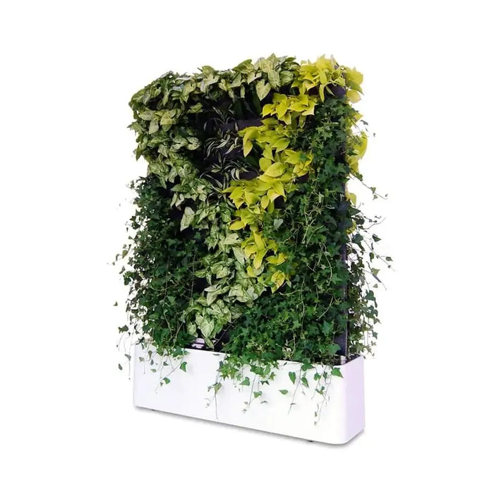 Vertical Gardens in Dubai : a Green Revolution : Greening the Desert