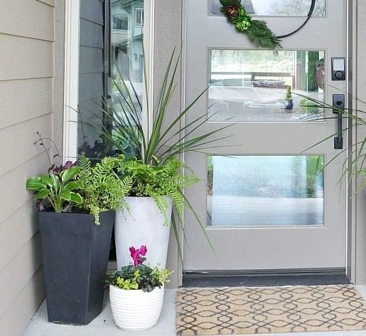 Deck and Doorstep Plants - Greensouq