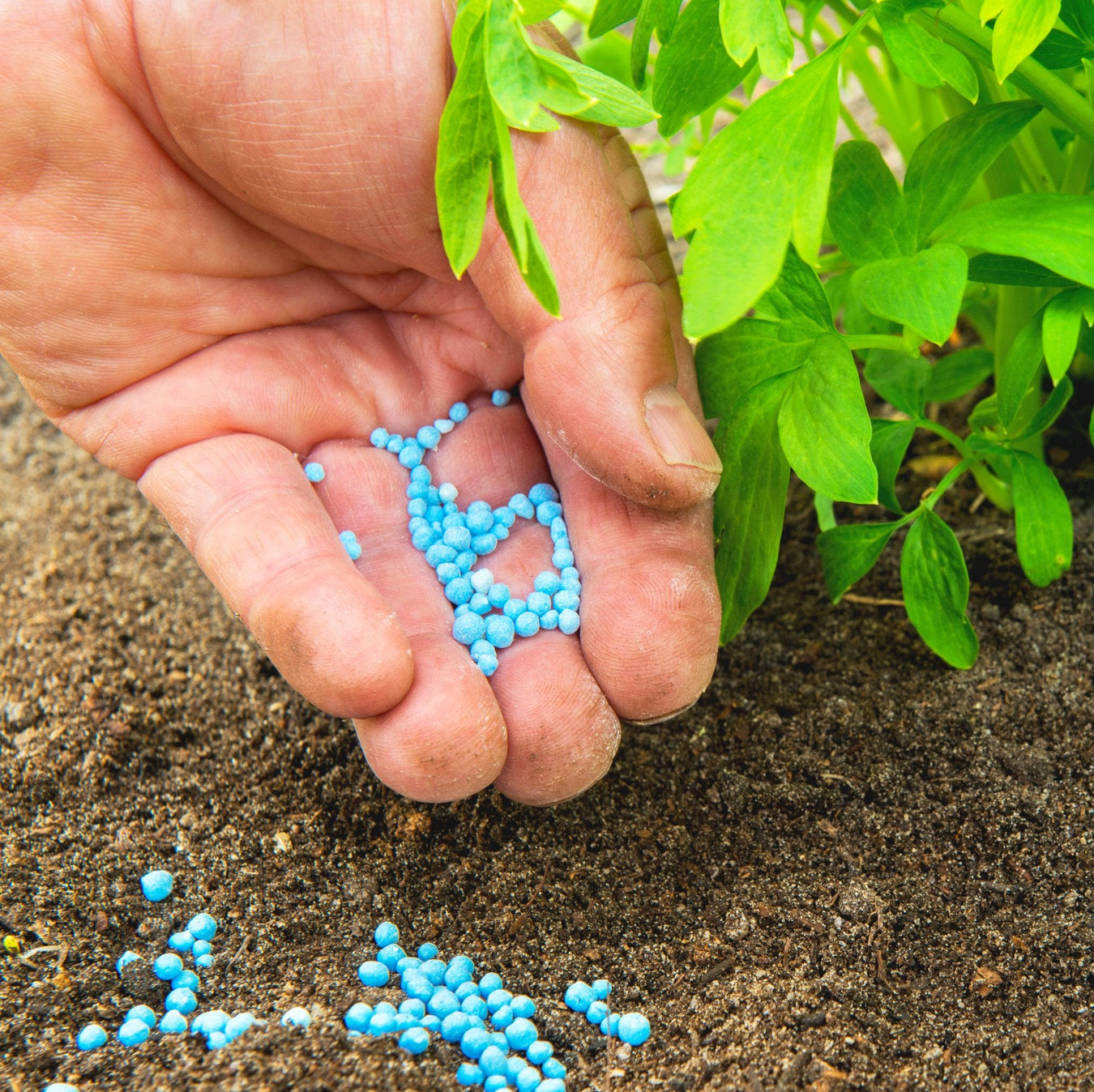 Fertilizers and Pesticides - Greensouq