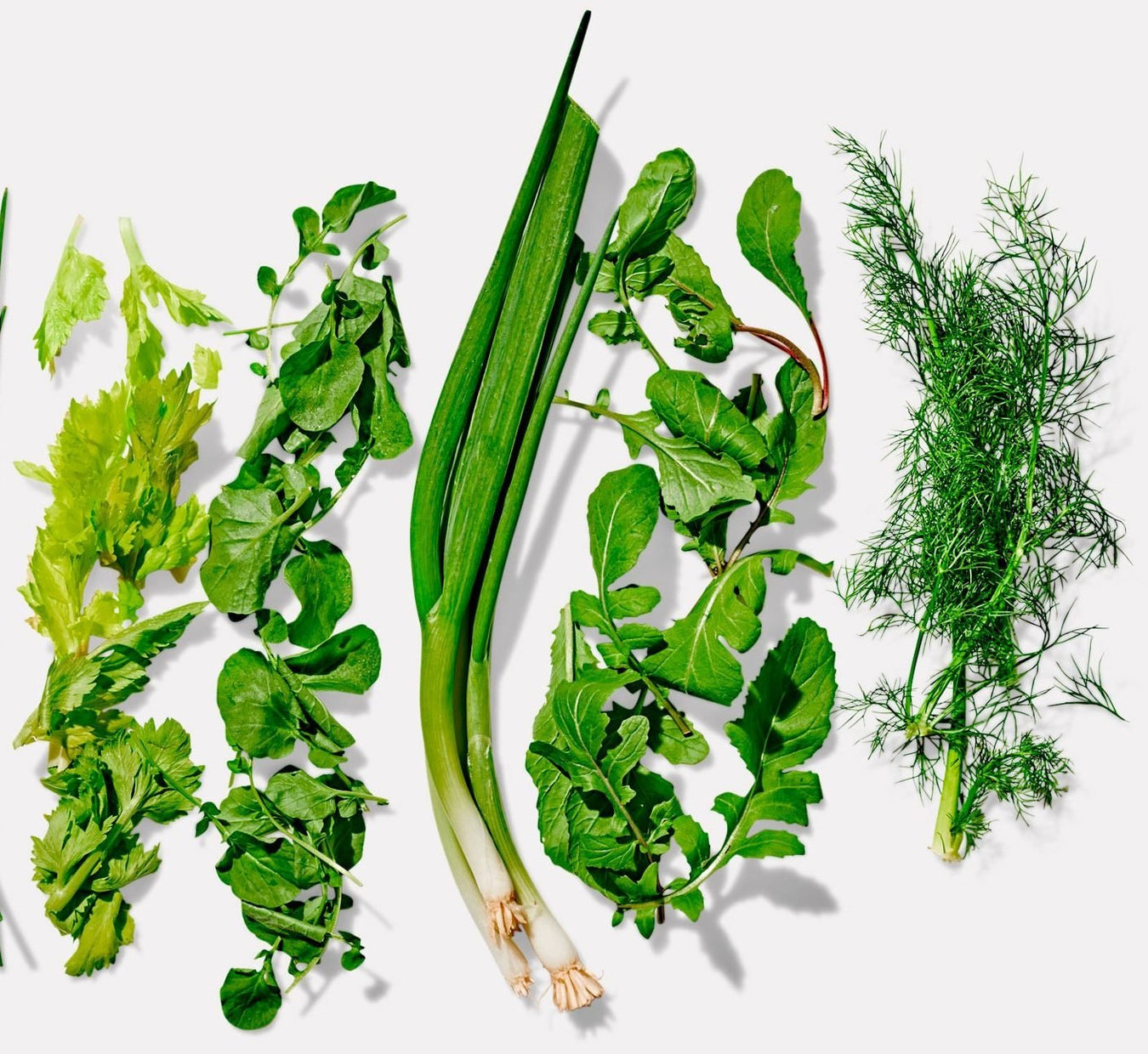 Herbs and shrubs Seeds - Greensouq