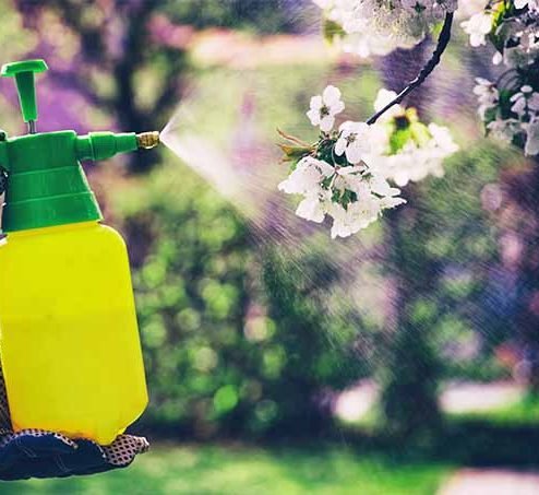 Inorganic Pesticides - Greensouq