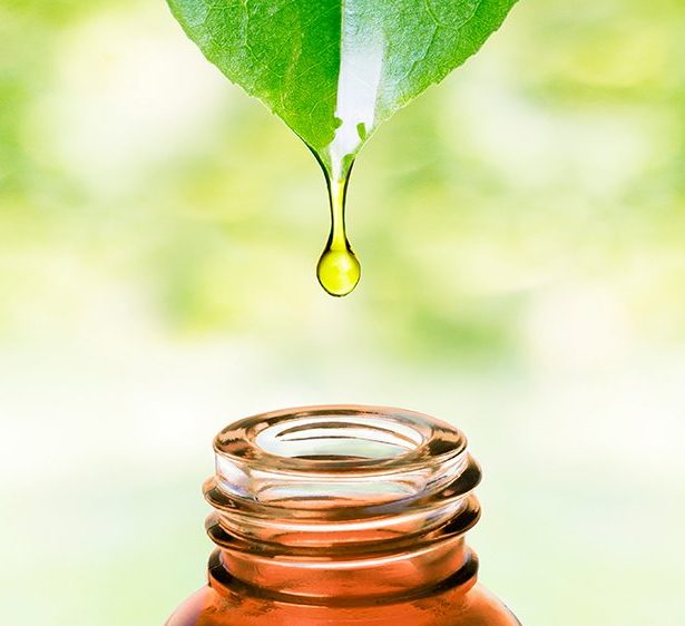 Organic Pesticides - Greensouq