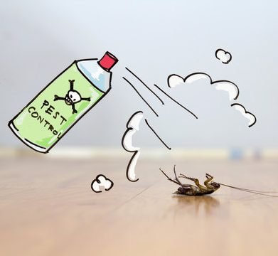 Household Pesticides - Greensouq