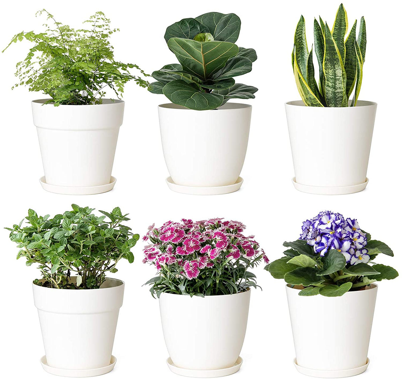 Recently Added - Greensouq
