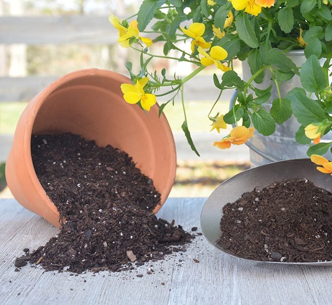 Soil - Greensouq