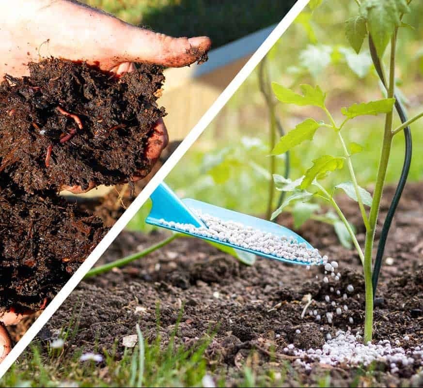 Soil and Fertilizers - Greensouq