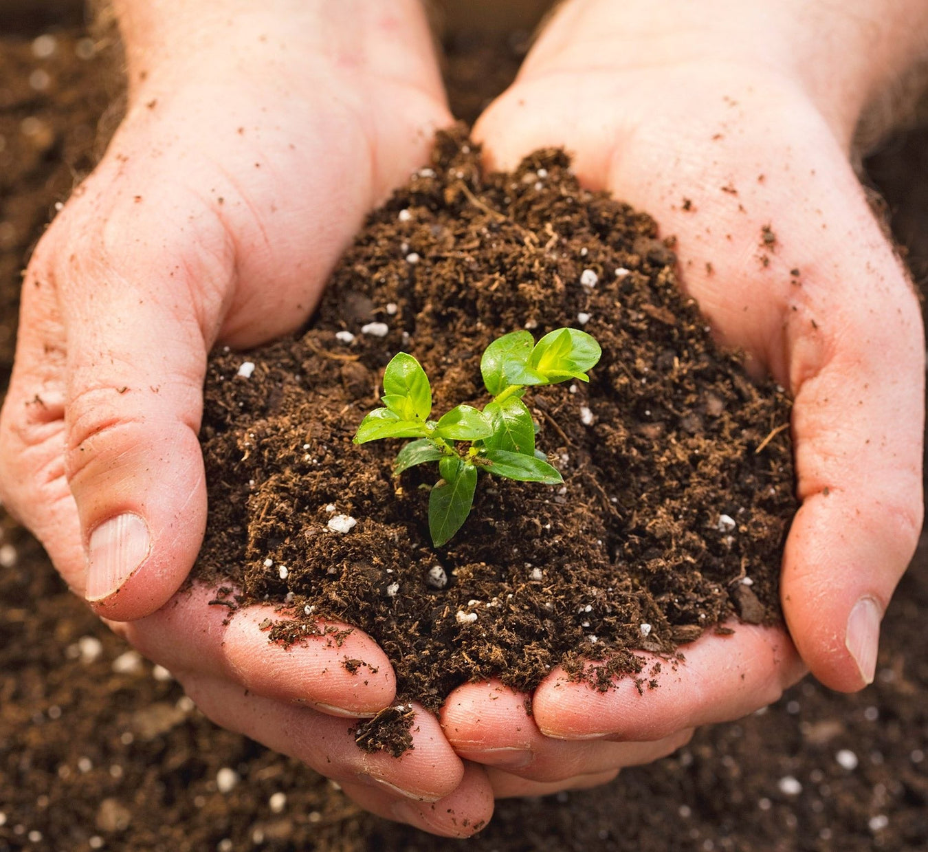 Rock Mix Soil - Greensouq