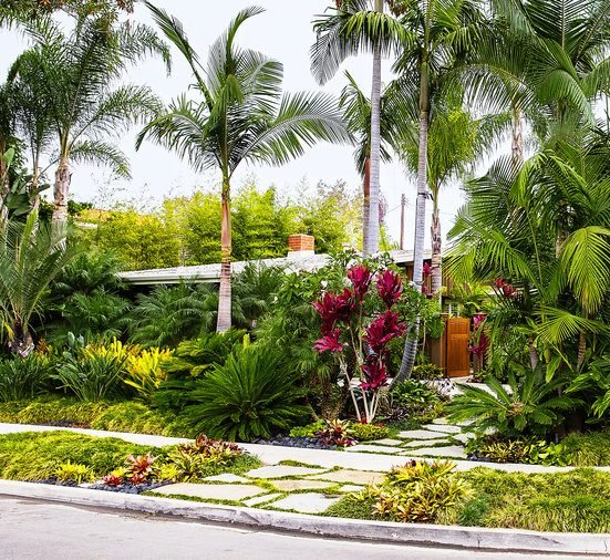 Tropical Garden - Greensouq