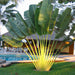 Ravenala madagascariensis “Traveller’s Palm” Greensouq