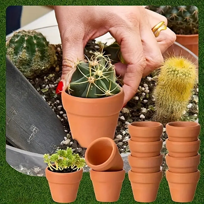 terracotta clay pots