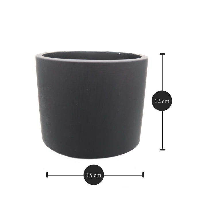 Round Tulip Pot