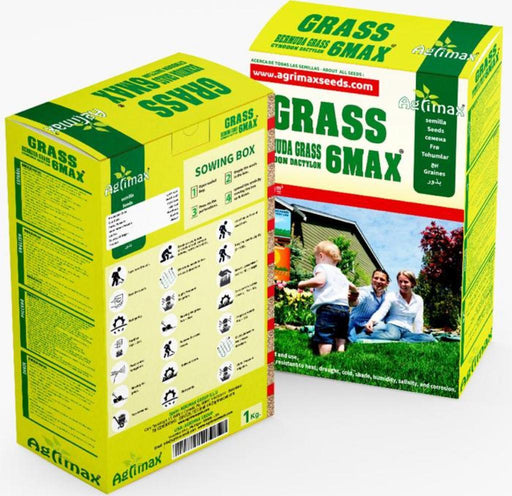Bermuda Grass 6Max Seeds "Cynodon Dactylon" Green Souq