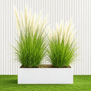 2 Pennisetum Plants in GRP Planter Pot (50 × 20 × 20 cm) - Greensouq - outdoor