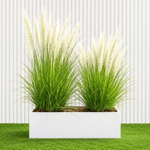 2 Pennisetum Plants in GRP Planter Pot (50 × 20 × 20 cm) - Greensouq - outdoor