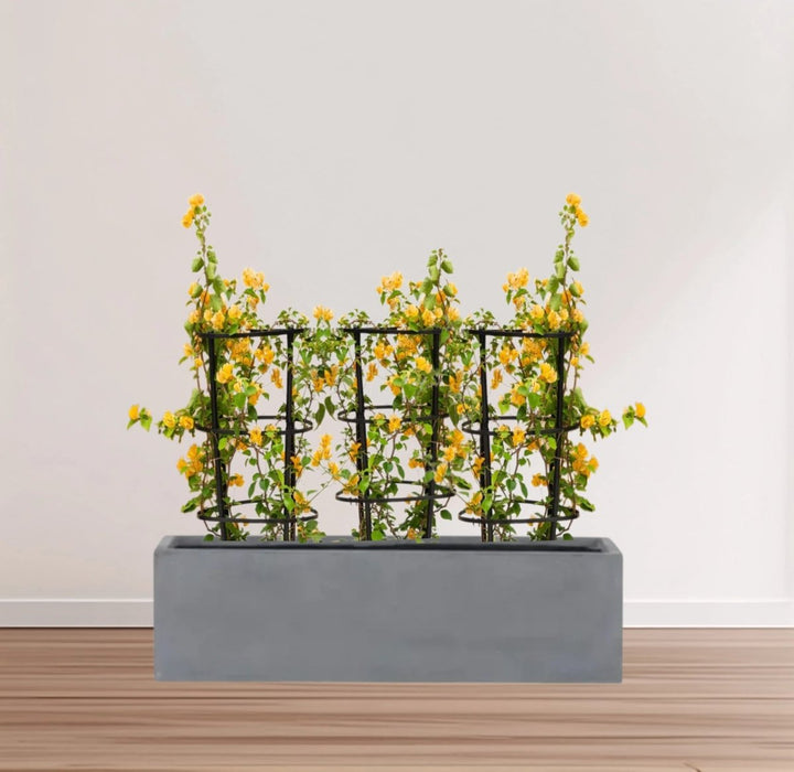3 Bougainvillea Spectabilis 80 - 100cm in Grp Planter (100 - 30 - 30cm) - Greensouq - 