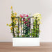 3 Bougainvillea Spectabilis 80 - 100cm in Grp Planter (100 - 30 - 30cm) - Greensouq - 