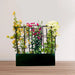 3 Bougainvillea Spectabilis 80 - 100cm in Grp Planter (100 - 30 - 30cm) - Greensouq - 