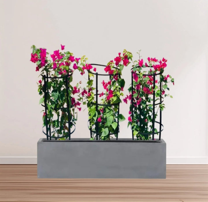 3 Bougainvillea Spectabilis 80 - 100cm in Grp Planter (100 - 30 - 30cm) - Greensouq - 