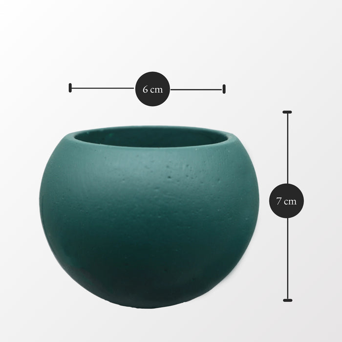 Bowl Succulent Pot