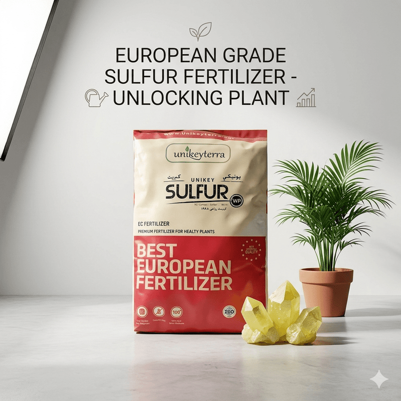 99.9% Pure Agriculture Sulfur Granules | UAE Soil Modification! - Greensouq - 