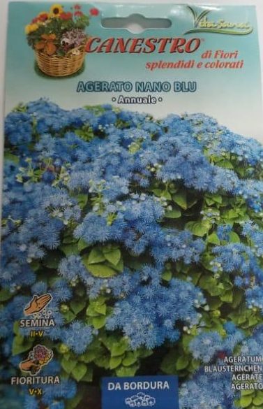 Agerato Nano Blu Seed by CANESTRO Green Souq