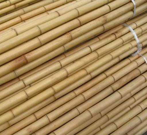 Bamboo Sticks “Per Piece” 15-30mm Dia
