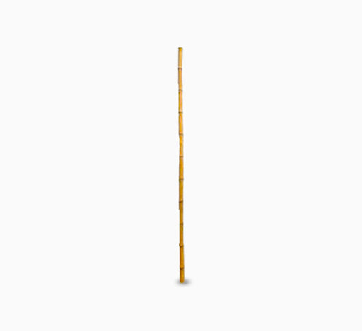 Bamboo pole 3m Length