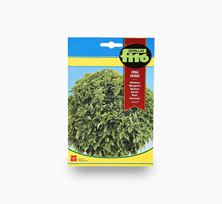 Basil Fine Leafed - Fito