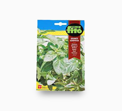 Basil Genovesa Giant 3g – Fito