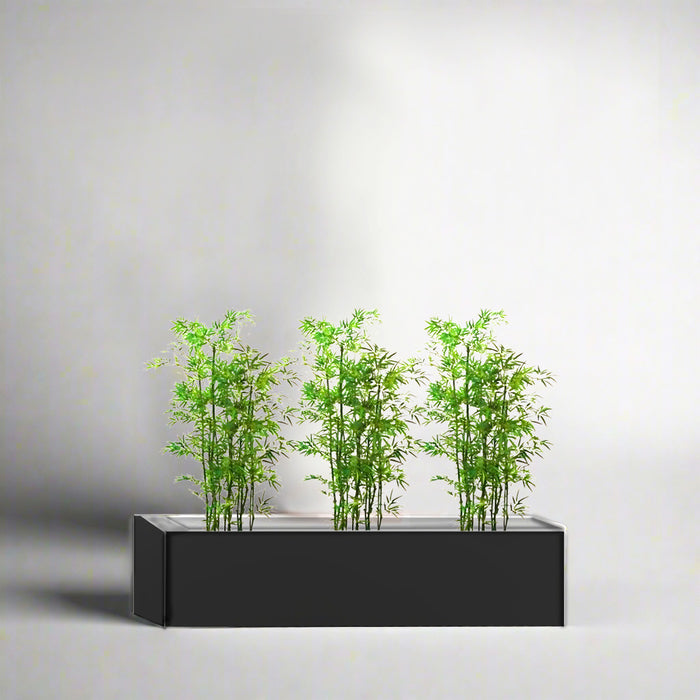 Bamboo Multiplex