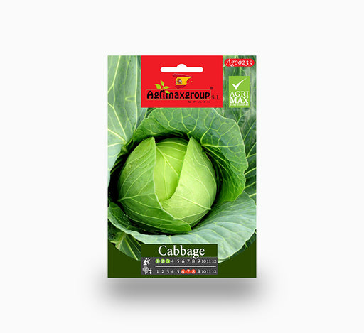 Cabbage Agrimax Seeds