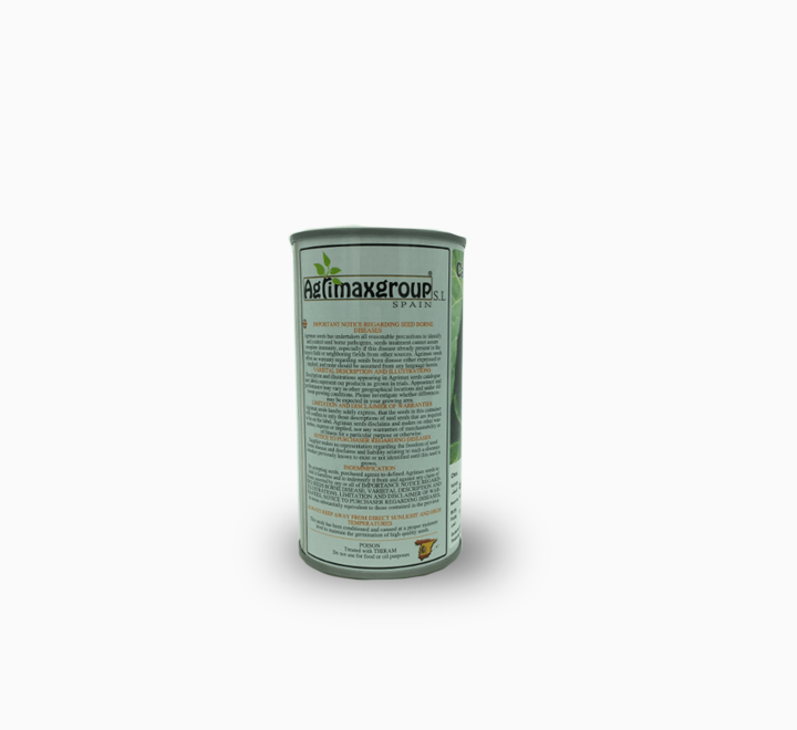 Evergreen Bunching Onions Seeds Tin