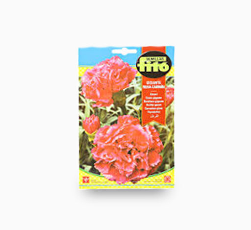 Carnation Giant Carmine 800 mg – Fito
