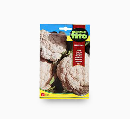 Cauliflower Maresma 4g – Fito