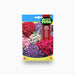 Cineraria Dwarf Hybrid Mix 50mg – Fito Seeds