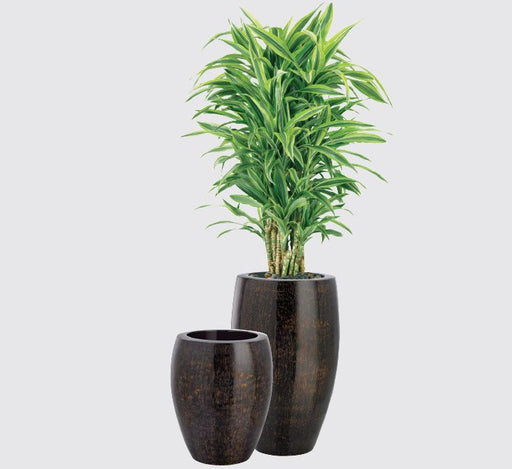Classic Sparkle Pot Green Souq